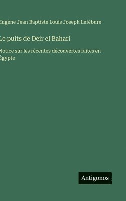 bokomslag puits de Deir el Bahari