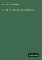 bokomslag De la fièvre puerpérale épidémique