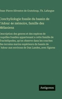 bokomslag Conchyliologie fossile du bassin de l'Adour 4e mémoire, famille des Mélaniens