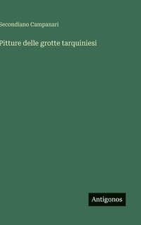 bokomslag Pitture delle grotte tarquiniesi