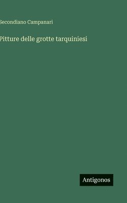 bokomslag Pitture delle grotte tarquiniesi