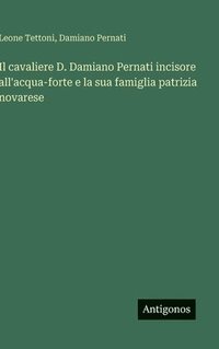 bokomslag cavaliere D. Damiano Pernati incisore all'acqua-forte e la sua famiglia patrizia novarese