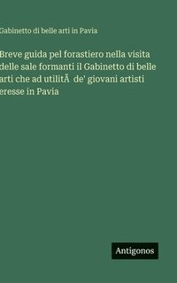 bokomslag Breve guida pel forastiero nella visita delle sale formanti il Gabinetto di belle arti che ad utilitÃ de' giovani artisti eresse in Pavia