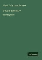 bokomslag Novelas Ejemplares