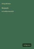 bokomslag Woyzeck