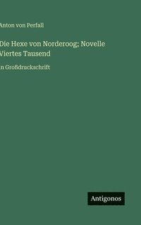 bokomslag Die Hexe von Norderoog; Novelle Viertes Tausend: in Großdruckschrift