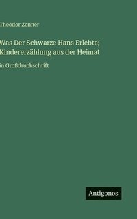 bokomslag Was Der Schwarze Hans Erlebte; Kindererzählung aus der Heimat