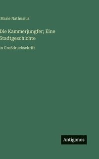 bokomslag Die Kammerjungfer; Eine Stadtgeschichte:in Großdruckschrift