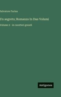 bokomslag Un segreto; Romanzo In Due Volumi:Volume 2 - in caratteri grandi