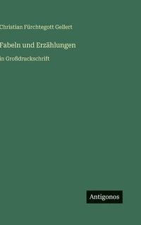 bokomslag Fabeln und Erzählungen: in Großdruckschrift