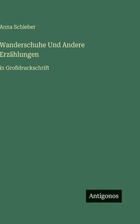 bokomslag Wanderschuhe Und Andere Erzählungen: in Großdruckschrift