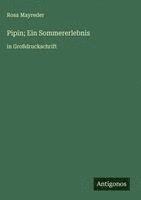 bokomslag Pipin; Ein Sommererlebnis