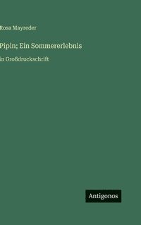 bokomslag Pipin; Ein Sommererlebnis:in Großdruckschrift