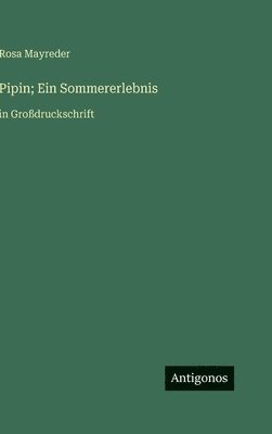 bokomslag Pipin; Ein Sommererlebnis: in Großdruckschrift