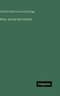 bokomslag Wien, wie es war und ist