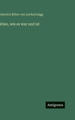 bokomslag Wien, wie es war und ist