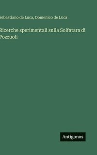 bokomslag Ricerche sperimentali sulla Solfatara di Pozzuoli