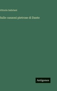 bokomslag Sulle canzoni pietrose di Dante