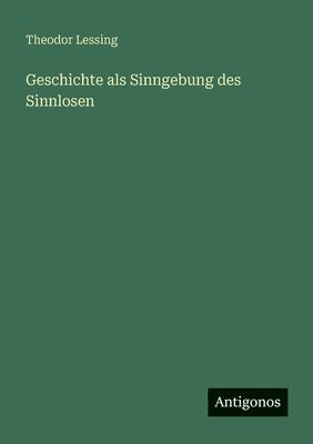 bokomslag Geschichte als Sinngebung des Sinnlosen