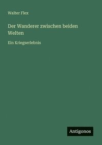 bokomslag Wanderer zwischen beiden Welten
