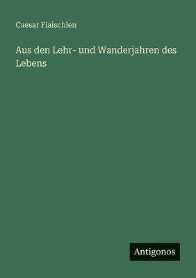 bokomslag Aus den Lehr- und Wanderjahren des Lebens