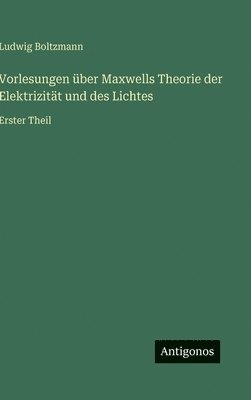 bokomslag Vorlesungen über Maxwells Theorie der Elektrizität und des Lichtes