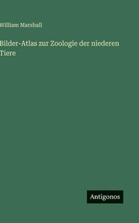 bokomslag Bilder-Atlas zur Zoologie der niederen Tiere
