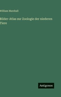 bokomslag Bilder-Atlas zur Zoologie der niederen Tiere