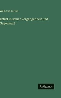 bokomslag Erfurt in seiner Vergangenheit und Gegenwart