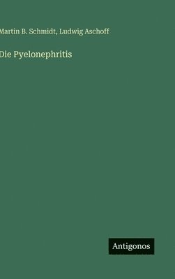 bokomslag Pyelonephritis