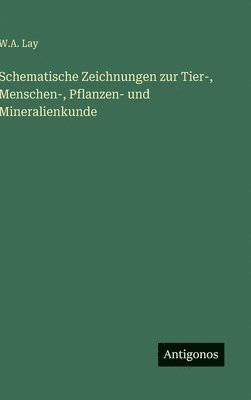 bokomslag Schematische Zeichnungen zur Tier-, Menschen-, Pflanzen- und Mineralienkunde
