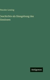 bokomslag Geschichte als Sinngebung des Sinnlosen