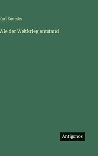 bokomslag Wie der Weltkrieg entstand