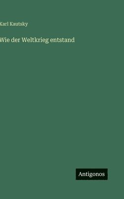 bokomslag Wie der Weltkrieg entstand