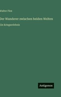 bokomslag Wanderer zwischen beiden Welten