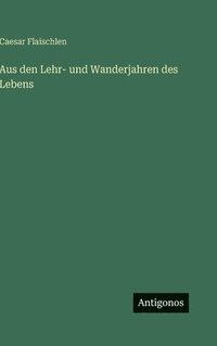 bokomslag Aus den Lehr- und Wanderjahren des Lebens