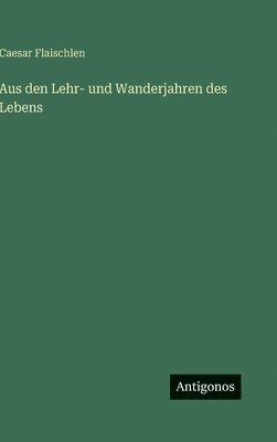bokomslag Aus den Lehr- und Wanderjahren des Lebens