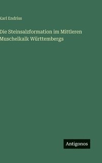 bokomslag Steinsalzformation im Mittleren Muschelkalk Württembergs