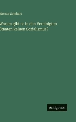 bokomslag Warum gibt es in den Vereinigten Staaten keinen Sozialismus?