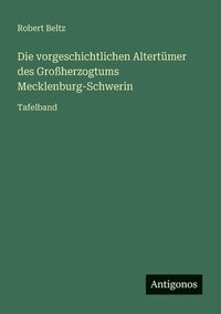 bokomslag vorgeschichtlichen Altertümer des Großherzogtums Mecklenburg-Schwerin