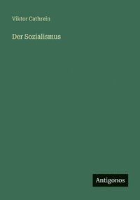 bokomslag Sozialismus