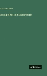 bokomslag Sozialpolitik und Sozialreform