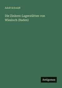 bokomslag Zinkerz-Lagerstätten von Wiesloch (Baden)