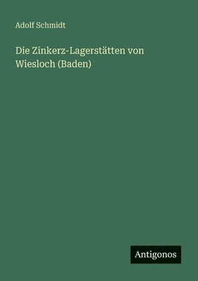 bokomslag Zinkerz-Lagerstätten von Wiesloch (Baden)