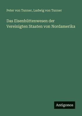 bokomslag Eisenhüttenwesen der Vereinigten Staaten von Nordamerika