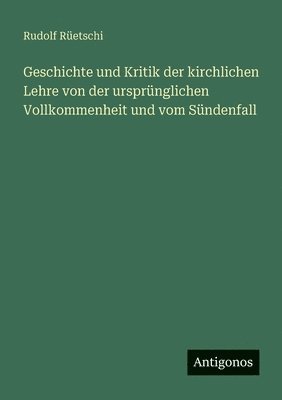 bokomslag Geschichte und Kritik der kirchlichen Lehre von der ursprünglichen Vollkommenheit und vom Sündenfall