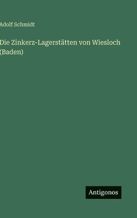 bokomslag Die Zinkerz-Lagerstätten von Wiesloch (Baden)