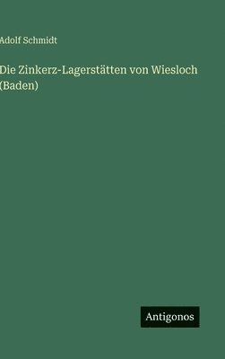 bokomslag Die Zinkerz-Lagerstätten von Wiesloch (Baden)