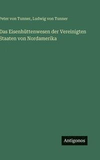 bokomslag Eisenhüttenwesen der Vereinigten Staaten von Nordamerika