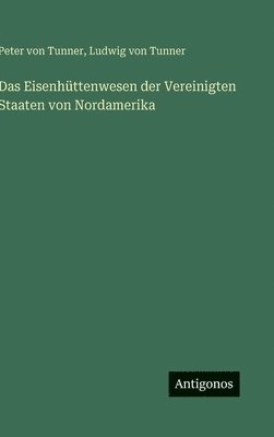 bokomslag Eisenhüttenwesen der Vereinigten Staaten von Nordamerika